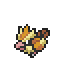 Pidgey