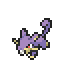 Rattata