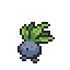 Oddish