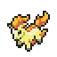 Ponyta