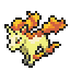 Rapidash