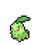 Chikorita