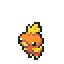 Torchic