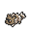 Zigzagoon