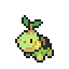 Turtwig