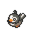 Starly
