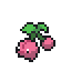 Cherubi