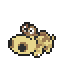 Hippopotas