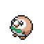 Rowlet