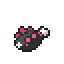 Pyukumuku