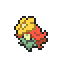 Gossifleur