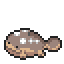 Clodsire