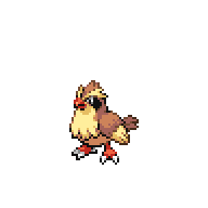 Battler sprite for Pidgey