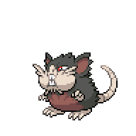 Battler sprite for Raticate