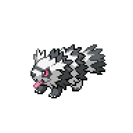 Battler sprite for Zigzagoon