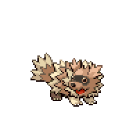 Battler sprite for Zigzagoon