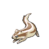 Battler sprite for Linoone