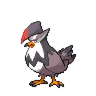 Battler sprite for Staraptor