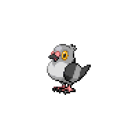 Battler sprite for Pidove