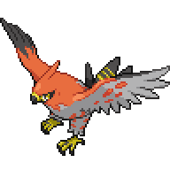 Battler sprite for Talonflame